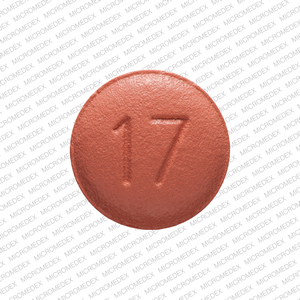 Benazepril hydrochloride 40 mg E 17 Back