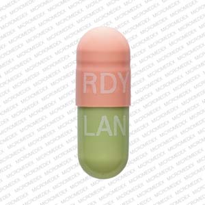 Lansoprazole delayed release 15 mg RDY LAN