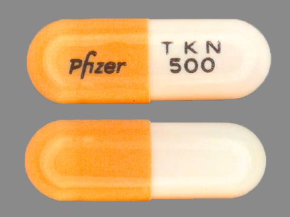 Pill Pfizer TKN 500 Orange Capsule/Oblong is Tikosyn