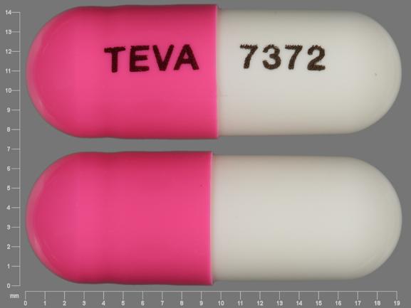Pill TEVA 7372 Pink & White Capsule-shape is Amlodipine Besylate and Benazepril Hydrochloride