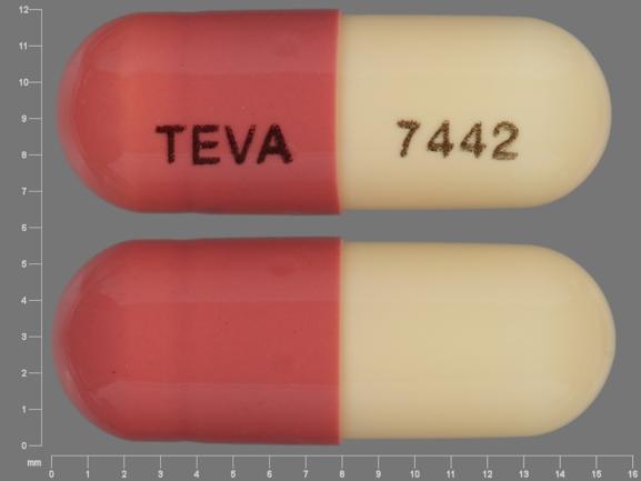 Pill TEVA 7442 Pink & White Capsule/Oblong is Fluvastatin Sodium