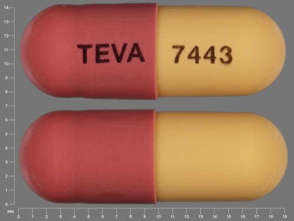 Pill TEVA 7443 Yellow Capsule/Oblong is Fluvastatin Sodium