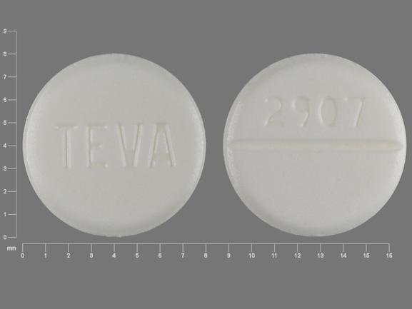 Pill TEVA 2907 White Round is Furosemide