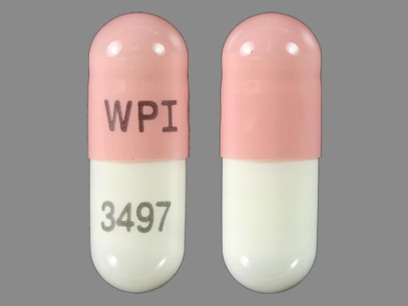Pill WPI 3497 Pink & White Capsule/Oblong is Galantamine Hydrobromide Extended Release