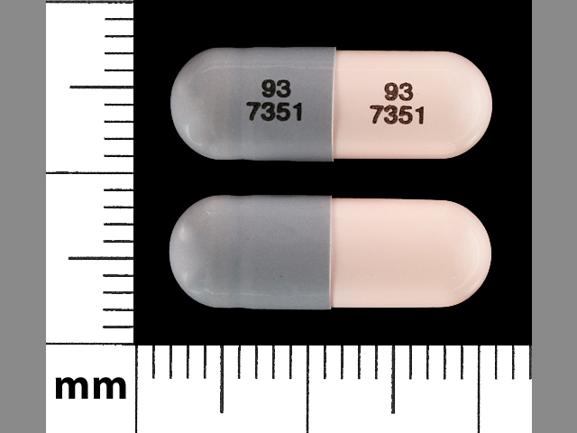 Pill 93 7351 93 7351 Gray & Pink Capsule/Oblong is Lansoprazole Delayed Release