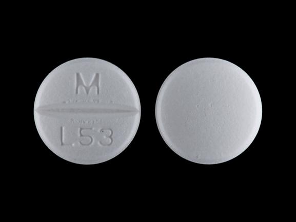 Pill M L53 White Round is Lamotrigine