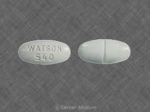 Acetaminophen and hydrocodone bitartrate 500 mg / 10 mg WATSON 540