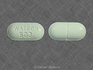 Acetaminophen and hydrocodone bitartrate 650 mg / 10 mg WATSON 503