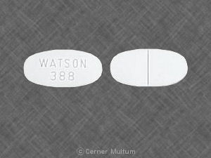 Acetaminophen and hydrocodone bitartrate 500 mg / 2.5 mg WATSON 388