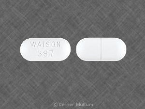 Acetaminophen and hydrocodone bitartrate 750 mg / 7.5 mg WATSON 387