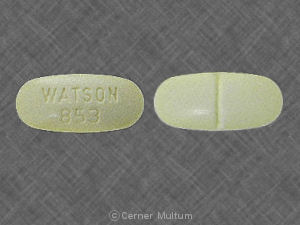 Acetaminophen and hydrocodone bitartrate 325 mg / 10 mg WATSON 853