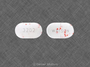 Acetaminophen and hydrocodone bitartrate 325 mg / 5 mg WATSON 3202