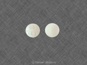 Pill GG 482 White Round is Enalapril Maleate