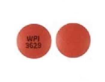 Pill WPI 3629 Brown Round is Hydromorphone Hydrochloride Extended-Release