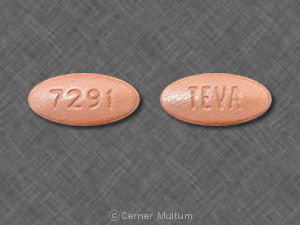Levofloxacin 250 mg TEVA 7291