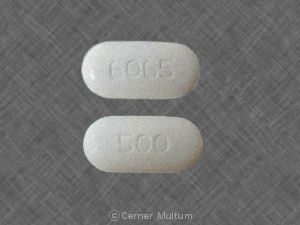 Metformin hydrochloride ER 500 mg 500 6065