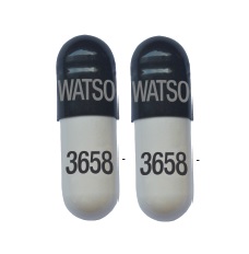 Nitrofurantoin (monohydrate macrocrystals) 100 mg WATSON 3658