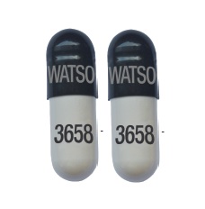 Pill WATSON 3658 Black Capsule/Oblong is Nitrofurantoin (Monohydrate/Macrocrystals)