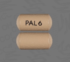 Pill PAL 6 Brown Capsule-shape is Paliperidone extended-release
