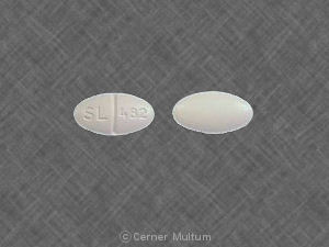 Pill SL 482 White Oval is Theophylline Extended-Release
