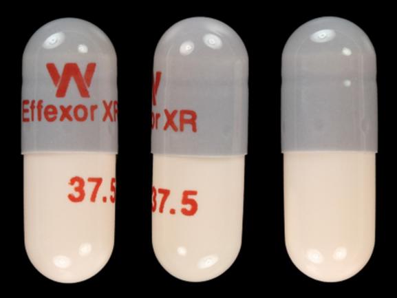 Pill W Effexor XR 37.5 Gray & Peach Capsule-shape is Effexor XR