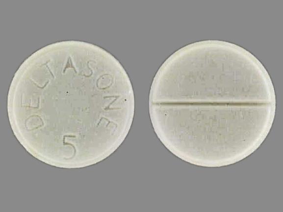 Pill DELTASONE 5 White Round is Deltasone