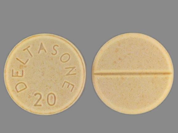 Pill DELTASONE 20 is Deltasone 20 mg