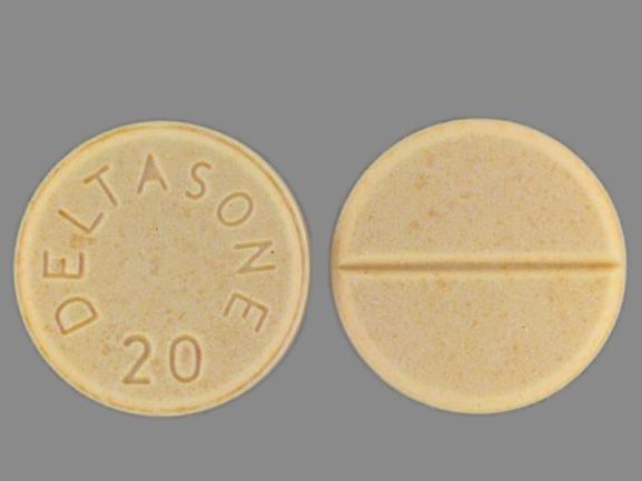 Pill DELTASONE 20 Orange Round is Deltasone