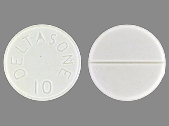 Pill DELTASONE 10 White Round is Deltasone