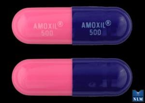 Amoxil 500 mg AMOXIL 500 AMOXIL 500