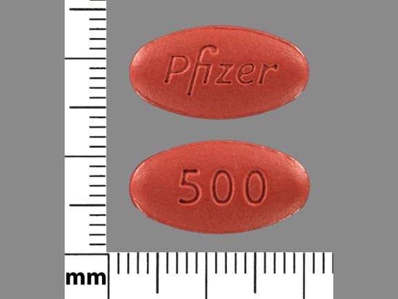 Pill Pfizer 500 Red Oval is Bosulif