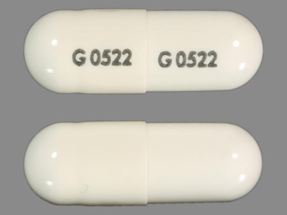 Pill G 0522 G 0522 White Capsule/Oblong is Fenofibrate (Micronized)