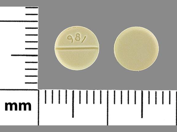 Pill 981 Yellow Round is Digoxin