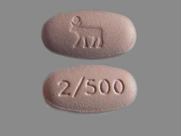 Pill Logo 2/500 is PrandiMet 500 mg / 2 mg