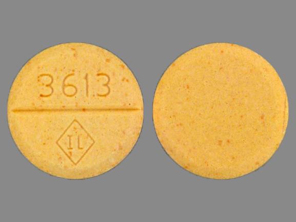 Pill 3613 IL Orange Round is Isosorbide Dinitrate Extended Release