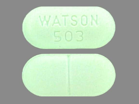Acetaminophen and hydrocodone bitartrate 650 mg / 10 mg WATSON 503