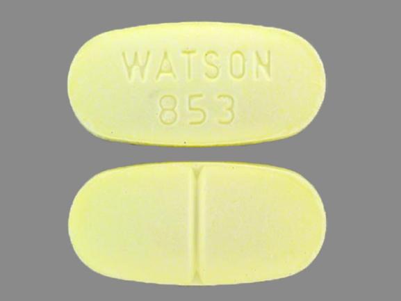 Pill WATSON 853 Yellow Oval is Acetaminophen and Hydrocodone Bitartrate