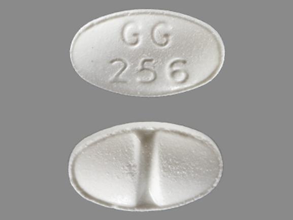 GG 256 Pill ( White / Elliptical / Oval / 9.00mm ) Drugs