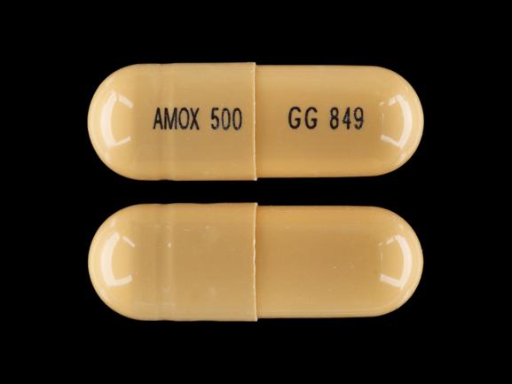 Amoxicillin trihydrate 500 mg AMOX 500 GG 849