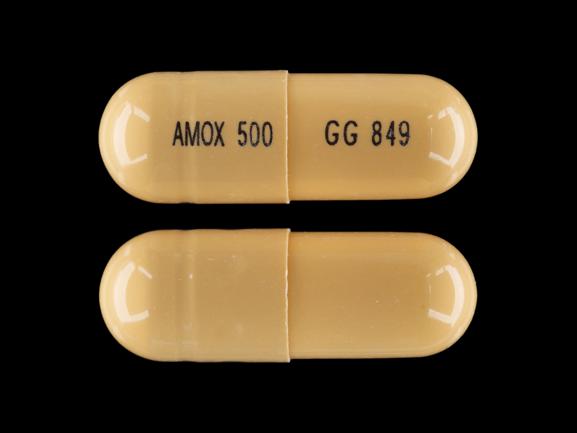 Apo Amoxi 500mg Amoxicillin