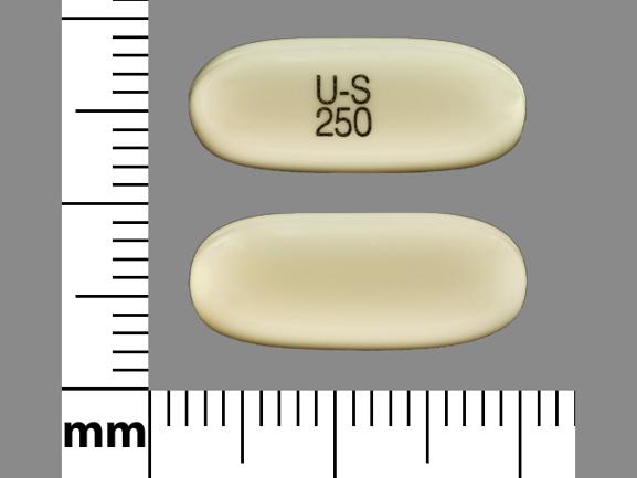 Pill U-S 250 is Valproic Acid 250 mg