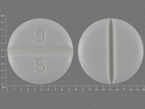 Pill 9 5 White Round is Pramipexole Dihydrochloride