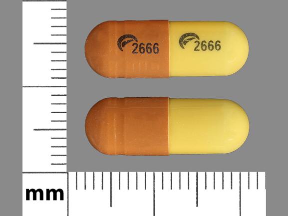 Pill Logo 2666 Logo 2666 Brown & Yellow Capsule-shape is Gabapentin