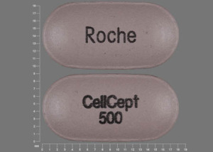 Cellcept 500 mg CellCept 500 Roche