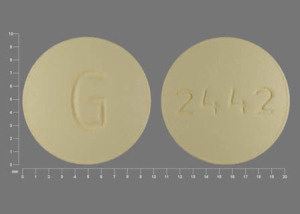 Pill G 2442 Yellow Round is Budeprion SR