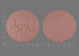 Pill Logo (Bull) Orange Round is Prandin