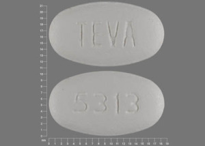 Ciprofloxacin hydrochloride 750 mg TEVA 5313