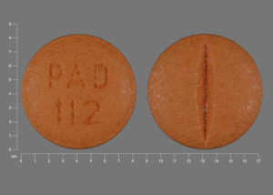 Pill PAD 112 Beige Round is Moexipril  Hydrochloride