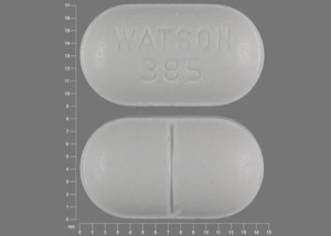 Acetaminophen and hydrocodone bitartrate 500 mg / 7.5 mg WATSON 385