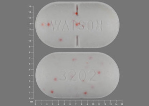 Acetaminophen and hydrocodone bitartrate 325 mg / 5 mg WATSON 3202